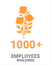 1000 Employees
